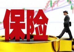 保险公司名字大全参考（精选600个）