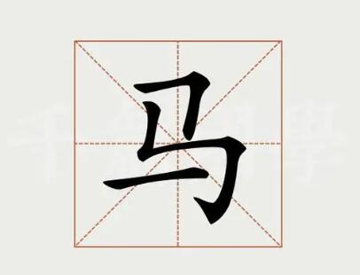 带马字的公司名称大气（精选200个）