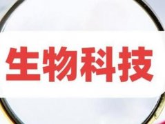 生物科技有限公司起名大全两字（精选600个）